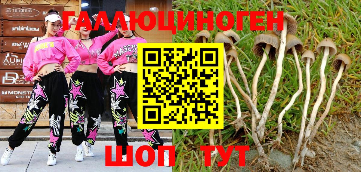 Галлюциногенные грибы MAGIC MUSHROOMS Старая Купавна