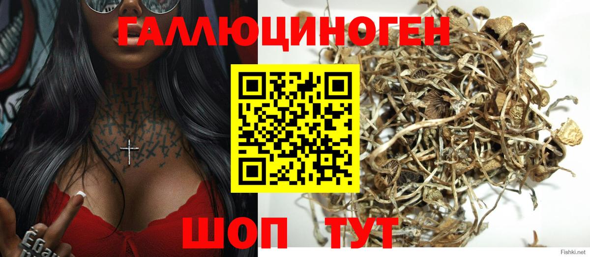 Псилоцибиновые грибы MAGIC MUSHROOMS  Псилоцибиновые грибы прущие грибы  закладки  Вход с VPN  Старая Купавна 