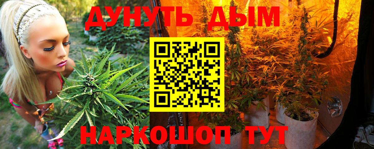Каннабис MAZAR Старая Купавна